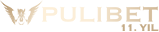 {{ title | uppercase }}